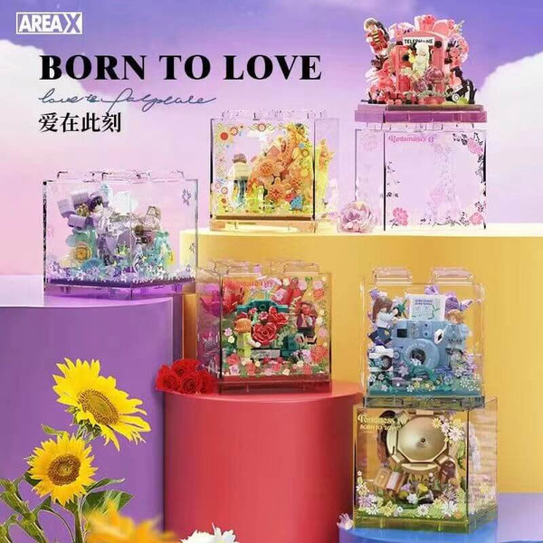 Area-X BOX Born to Love-Afobrick