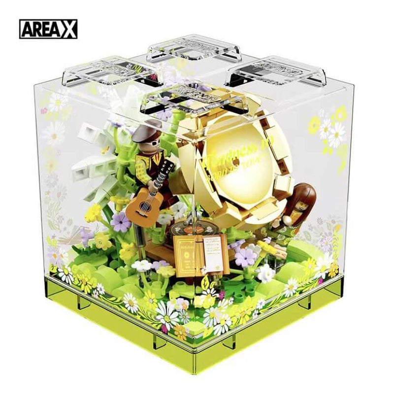Area-X BOX Born to Love