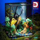 DK 7019 Rainy Season Amphibian Rainforest Adventire