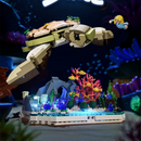 Funwhole F9072 Sea Turtle Coral Dream Travels