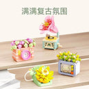 Sembo Flowers of Succulents and appliances