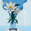 QIZHILE 92034 Epiphyllum QIZHILE