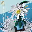 QIZHILE 92034 Epiphyllum QIZHILE