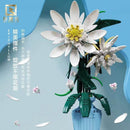 QIZHILE 92034 Epiphyllum QIZHILE