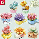 Sembo Succulent plants Afobrick