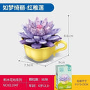 Sembo Succulent plants Afobrick