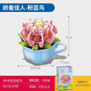 Sembo Succulent plants Afobrick