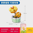 Sembo Succulent plants Afobrick