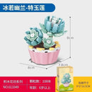 Sembo Succulent plants Afobrick